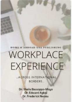 Paperback Workplace Experiences Across International Borders Book