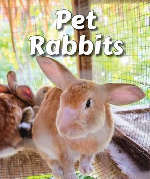 Library Binding Pet Rabbits Book