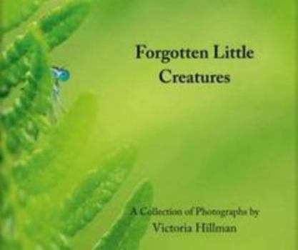 Hardcover Forgotten Little Creatures Book