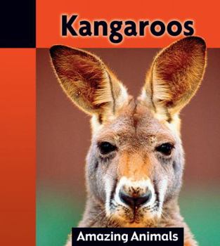 Paperback Kangaroos Book