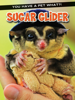 Sugar Glider - Book  of the You Have a Pet What?!