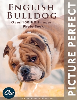 Paperback English Bulldog: Picture Perfect Photo Book