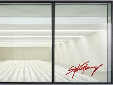 Paperback Sylvie Fleury: Double Positive Book