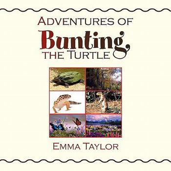 Paperback Adventures of Bunting, the Turtle Book