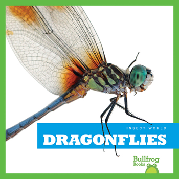 Dragonflies - Book  of the Insect World