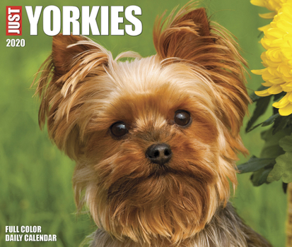 Calendar Just Yorkies 2020 Box Calendar (Dog Breed Calendar) Book