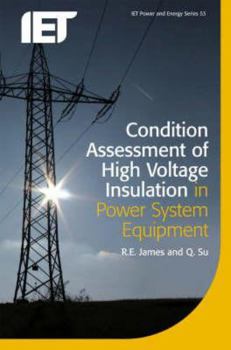 Paperback Condition Assessment of High Voltage Insulation in Power System Equipment Book