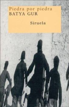 Paperback Piedra por piedra (Nuevos Tiempos/ New Times) (Spanish Edition) [Spanish] Book