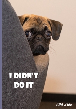 Paperback I Didn't Do It: Collectible Notebook Book