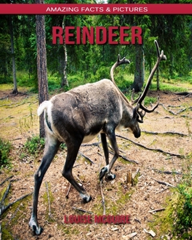 Reindeer: Amazing Facts & Pictures