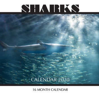 Paperback Sharks Calendar 2020: 16 Month Calendar Book