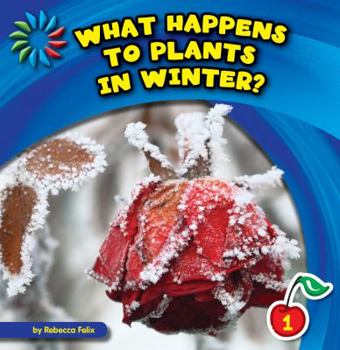 What Happens to Plants in Winter? - Book  of the Let's Look at Winter