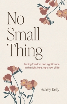 Paperback No Small Thing: Finding Freedom and Significance in the Right Here, Right Now of Life Book