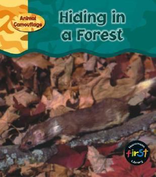 Hiding in a Forest