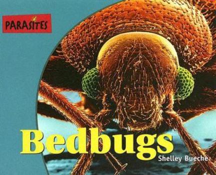 Library Binding Bedbugs Book