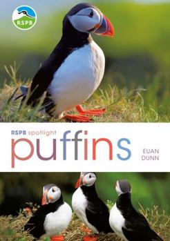 Paperback Rspb Spotlight: Puffins Book