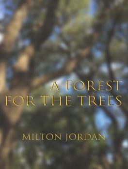Paperback A Forest for the Trees Book