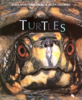 Paperback Turtles (First Books - Animals) Book