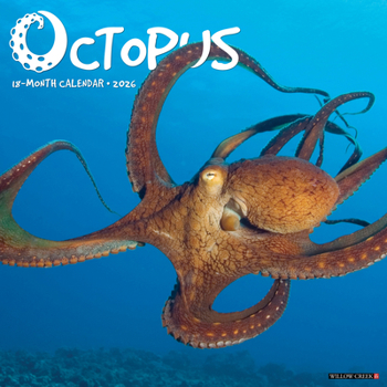 Spiral-bound Octopus 12 X 12 Wall Calendar Book