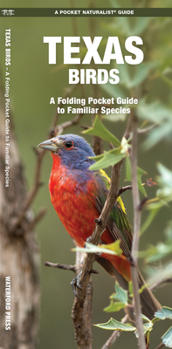 Pamphlet Texas Birds: A Folding Pocket Guide to Familiar Species Book