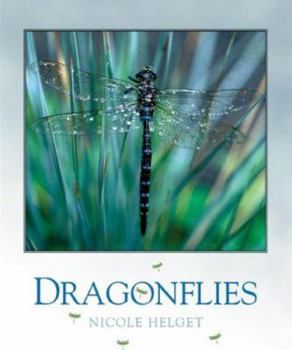 Library Binding Dragonflies Book