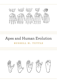 Hardcover Apes and Human Evolution Book