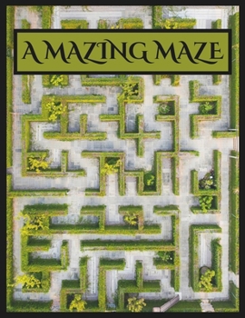 Paperback A Mazing Maze Book