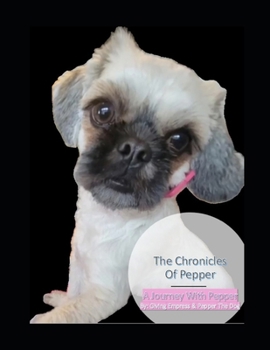 The Chronicles of Pepper: A Journey With Pepper