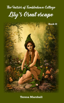 Paperback The Fairies of Tumbledown Cottage 2: Lily's Great Escape Book