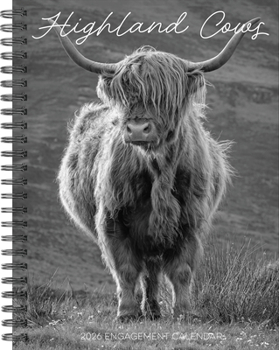Home Highland Cows 2026 Engagement Calendar Book