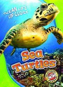 Sea Turtles - Book  of the Ocean Life Up Close