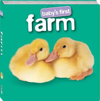 Board book Baby's First Farm Book