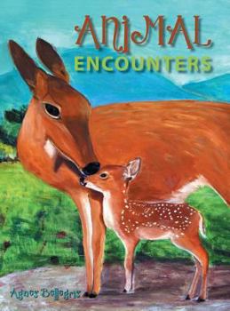 Hardcover Animal Encounters Book