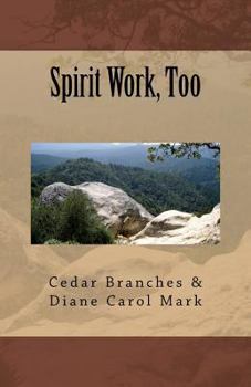 Paperback Spirit Work, Too Book