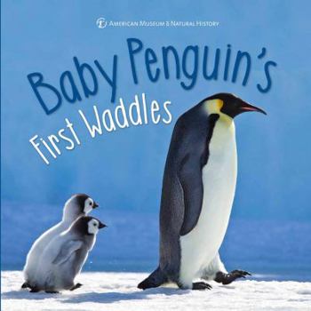 Hardcover Baby Penguin's First Waddles Book