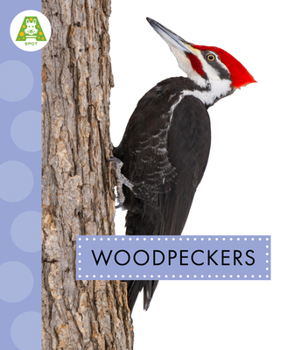Woodpeckers (Spot Backyard Birds)