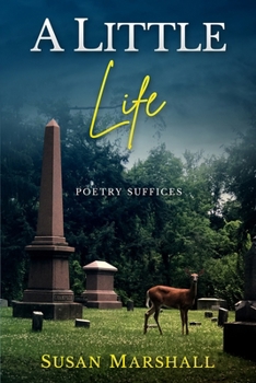 Paperback A Little Life Book