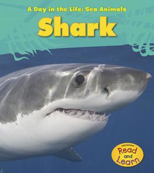 Shark - Book  of the A Day In The Life