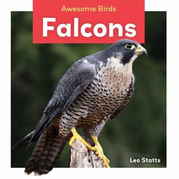 Falcons - Book  of the Awesome Birds