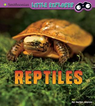 Paperback Reptiles: A 4D Book