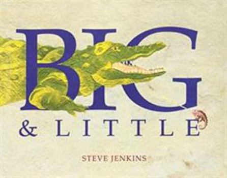 Hardcover Big and Little Book