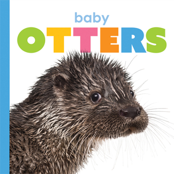 Paperback Baby Otters Book