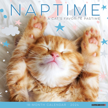 Calendar Naptime (Cats) 2024 12 X 12 Wall Calendar Book