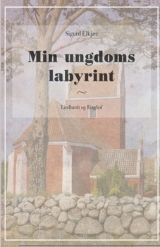 Paperback Min ungdoms labyrint [Danish] Book