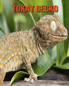 Tokay Gecko: Amazing Facts about Tokay Gecko