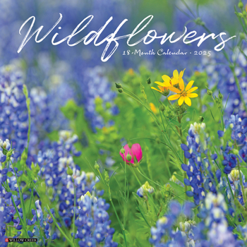 Calendar Wildflowers 2025 12 X 12 Wall Calendar Book