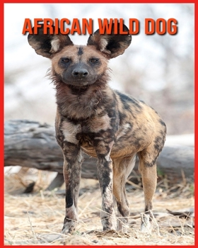 African wild dog: Amazing Facts & Pictures