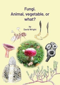 Paperback FUNGI. Animal, Vegetable or What? Book