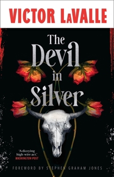 Hardcover The Devil in Silver Book