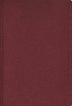 Leather Bound Rvr, Biblia de Estudio Trasfondo Cultural (El Contexto Lo Cambia Todo), Leathersoft, Rojo Vino, Interior a Color, Comfort Print: Explora El Mundo Anti [Spanish] Book